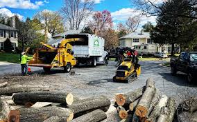 Best Tree Trimming and Pruning  in Hartford, KY